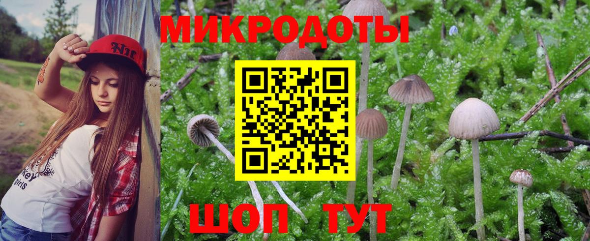 Псилоцибиновые грибы Psilocybe Ликино-Дулёво