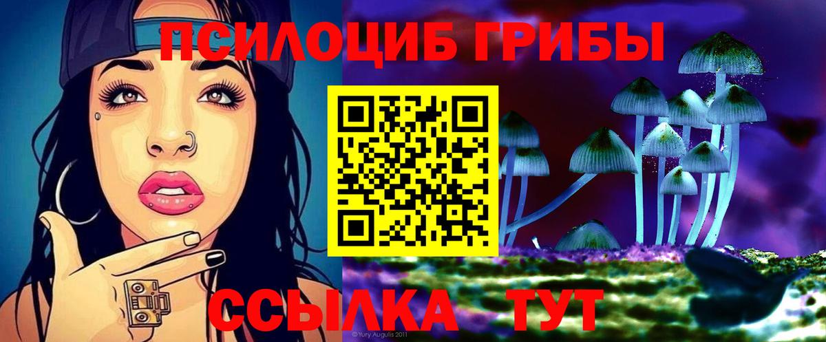 Галлюциногенные грибы Psilocybe  Вход с VPN  Ликино-Дулёво 